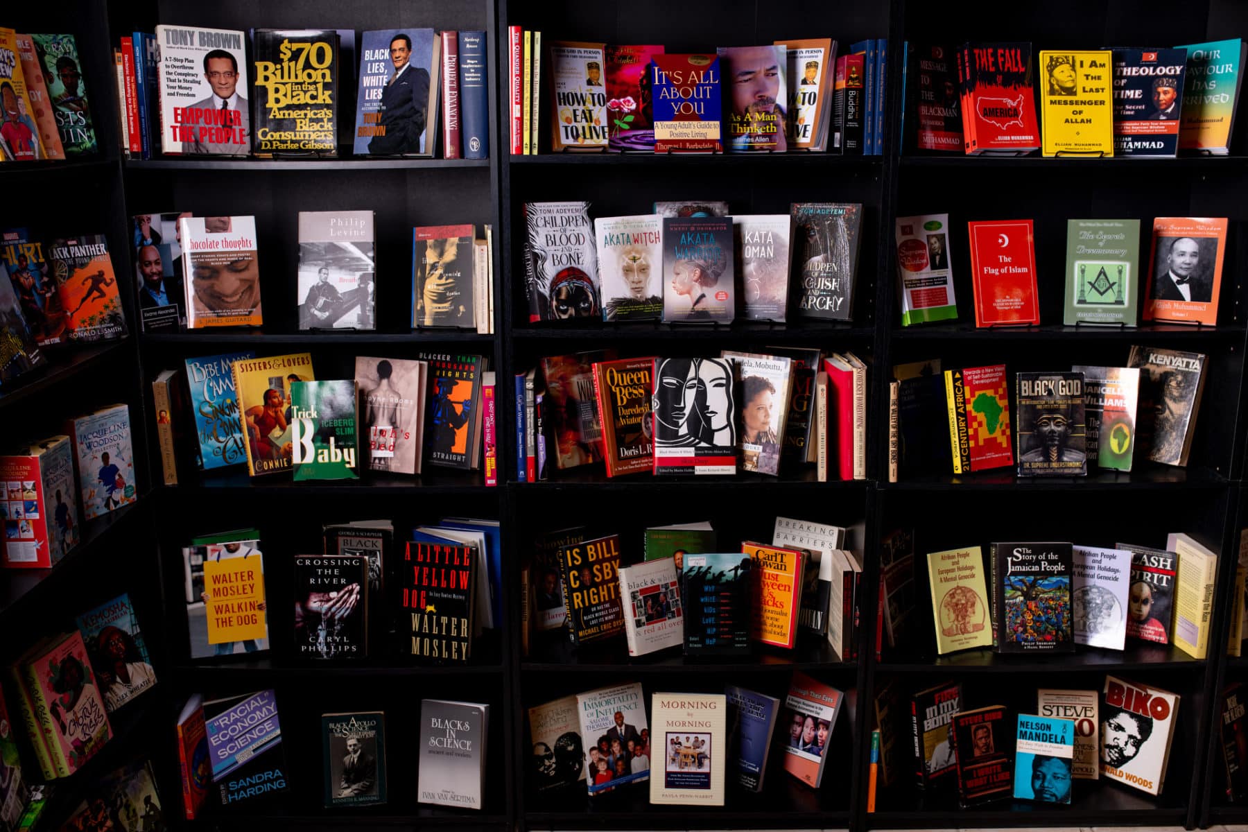 Black history based bookstore, lansdale 